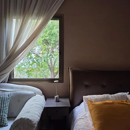 Ground Floor With A Garden View Daire