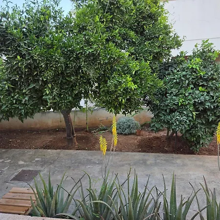 Ground Floor With A Garden View Limasol