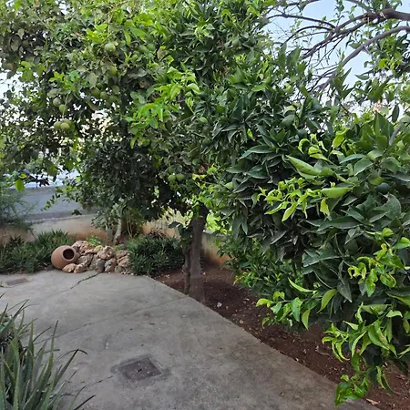 Ground Floor With A Garden View Limasol